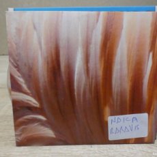 CDs de Música: ARKANSAS1980 COMPACT DISC NUEVO NAICA RARAVIS