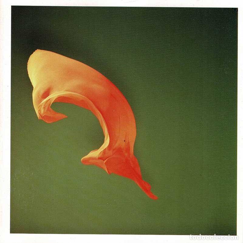 CDs de m&uacute;sica: Metamatics - SpookTinselShoal. CD - Foto 1