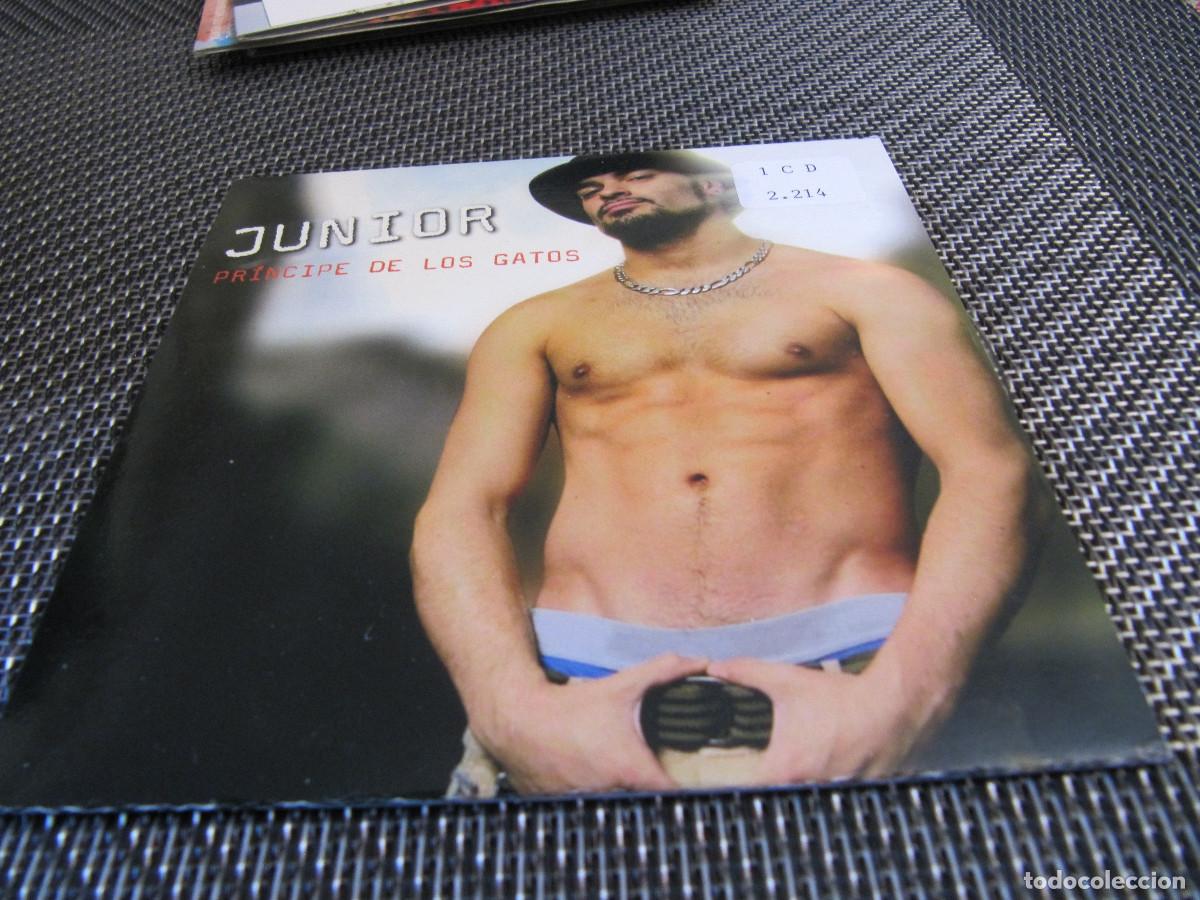 CDs de m&uacute;sica: JUNIOR- PRINCIPE DE LOS GATOS - Foto 1