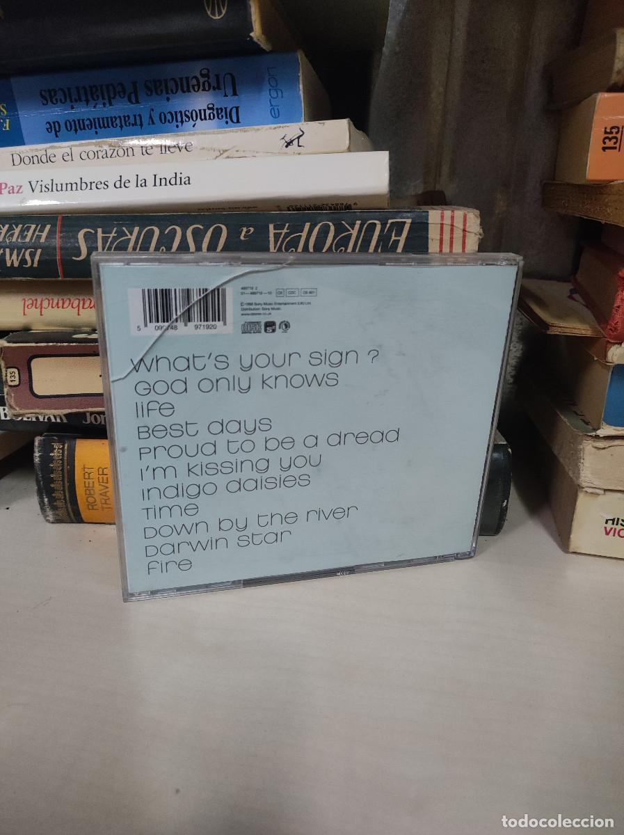 CDs de m&uacute;sica: Desree &ndash; Supernatural - Foto 2