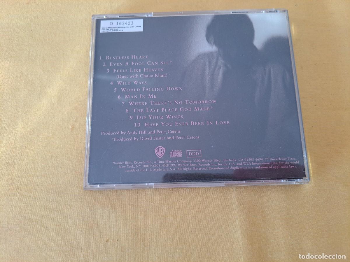 CDs de m&uacute;sica: PETER CETERA - WORLD FALLING DOWN - WARNER 1992 (MADE IN USA) - CD - Foto 3
