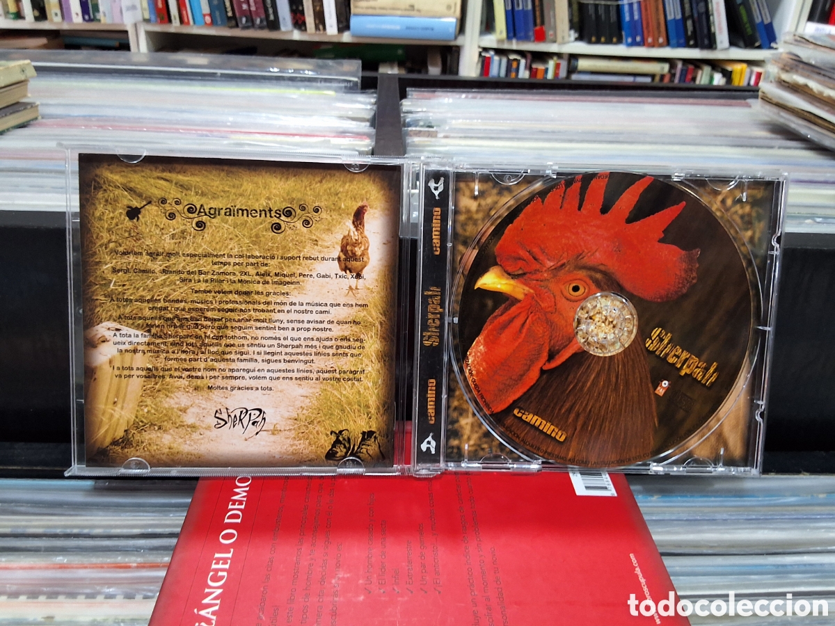 CDs de m&uacute;sica: SHERPAH - CAMINO - REGGAE - Foto 3