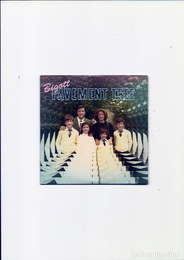 CDs de m&uacute;sica: BIGOTT. Pavement tree. (cd album 2014) - Foto 1
