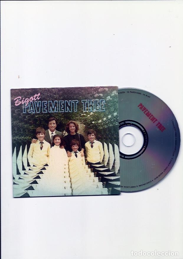 CDs de m&uacute;sica: BIGOTT. Pavement tree. (cd album 2014) - Foto 3