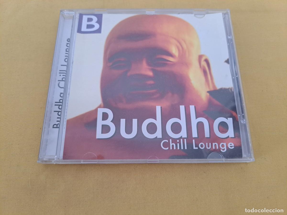Musik-CDs: PETE VICARY Y DAVID GAINSFORD - BUDDHA CHIL LOUNGE - SEND MUSIC 2004 - CD