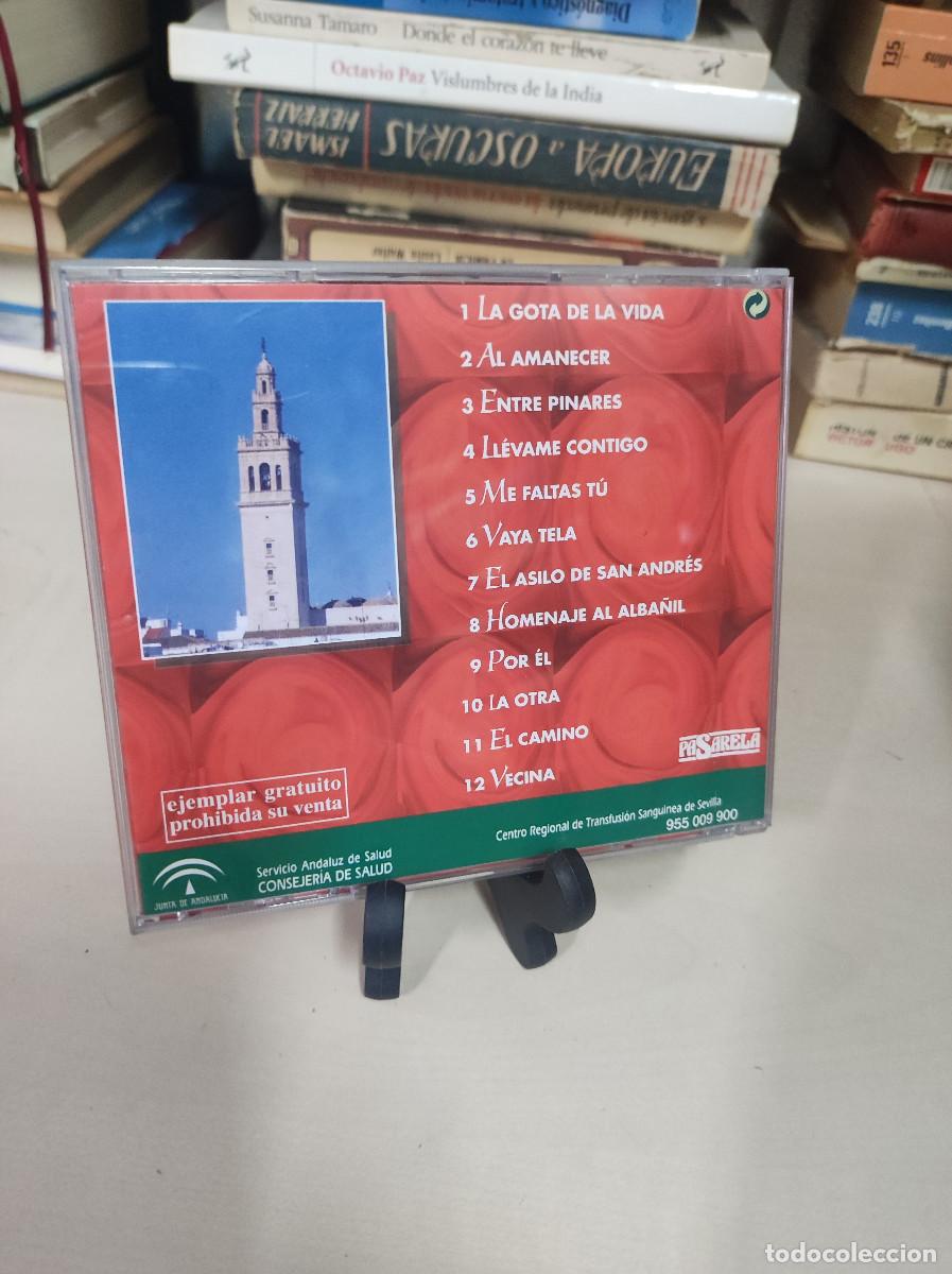 CDs de m&uacute;sica: SONES DEL SUR LA GOTA DE LA VIDA - Foto 2