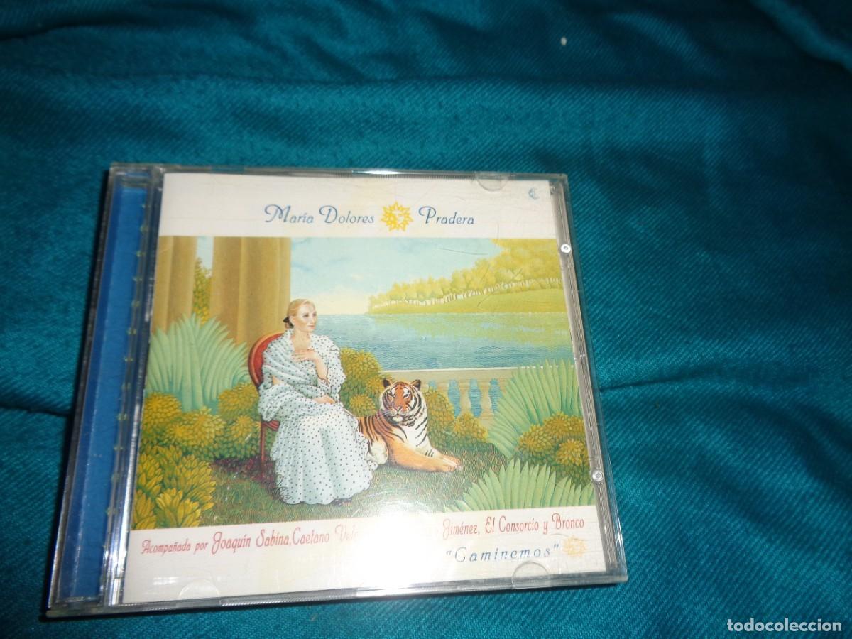 CDs de m&uacute;sica: MARIA DOLORES PRADERA. CAMINEMOS. CD. IMPECABLE - Foto 1