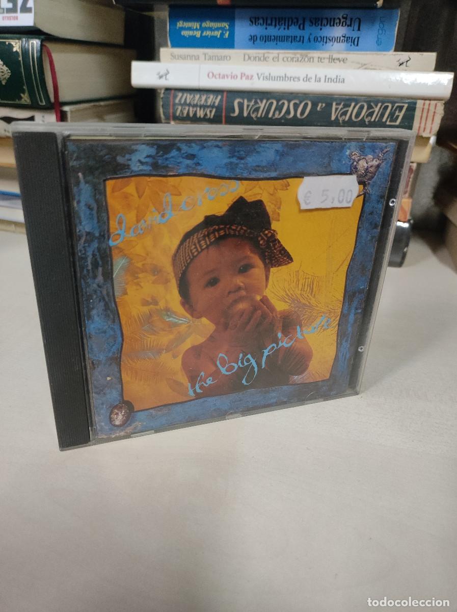 CDs de m&uacute;sica: David Cross &ndash; The Big Picture - Foto 1