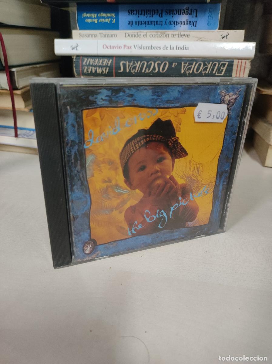 CDs de m&uacute;sica: David Cross &ndash; The Big Picture - Foto 1