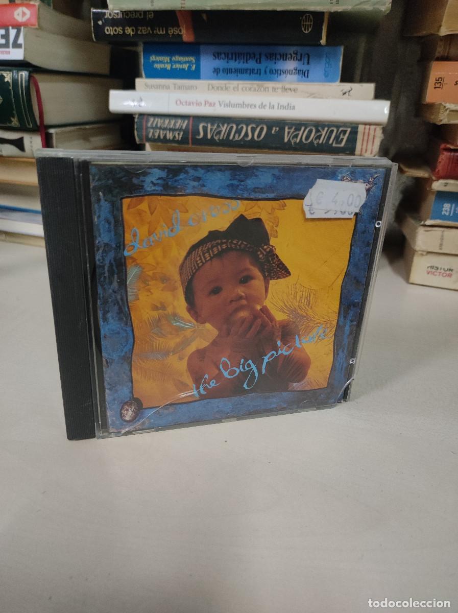 CDs de m&uacute;sica: David Cross &ndash; The Big Picture - Foto 1