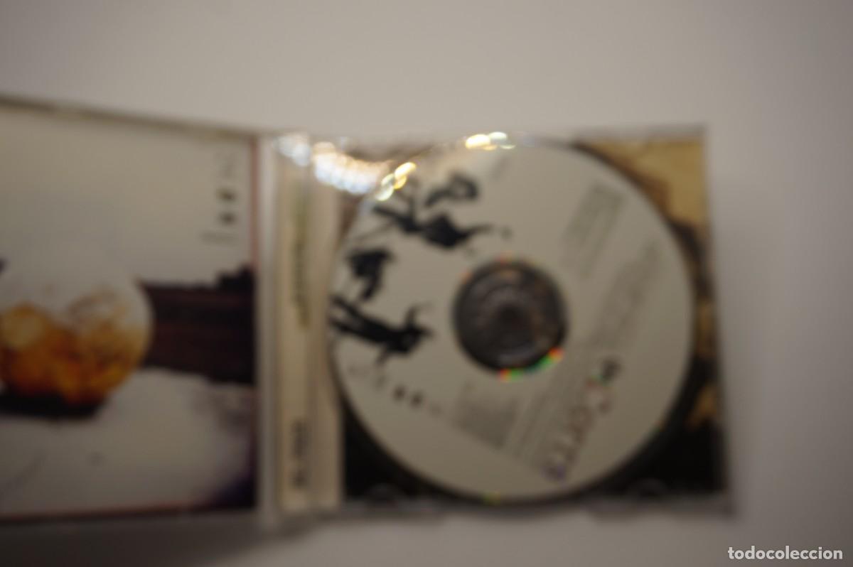 CDs de m&uacute;sica: CD - THE CORRS - FORGIVEN, NOT FORGOTTEN - DISCO EN ESTADO EXCELENTE - Foto 2