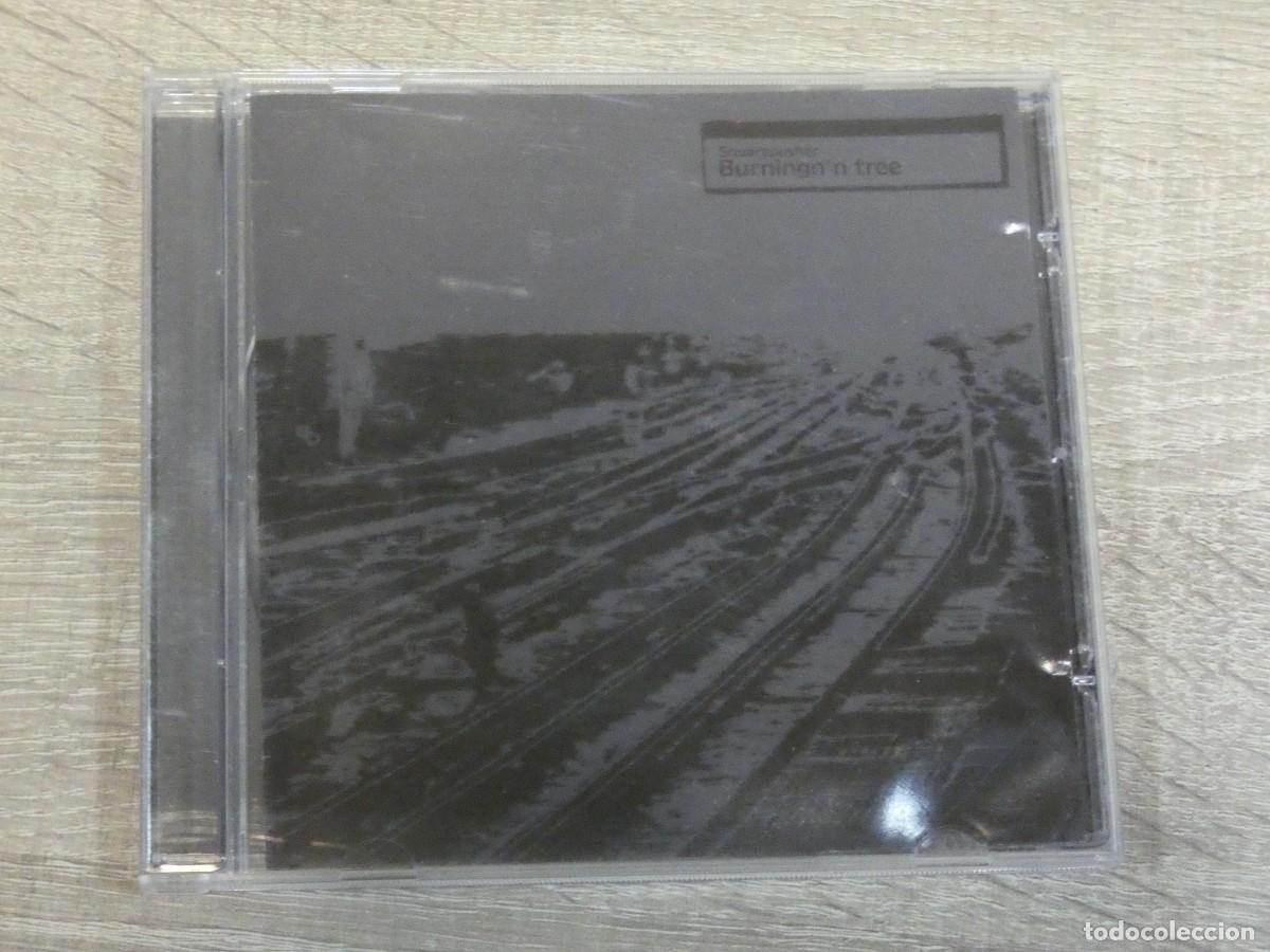 CDs de m&uacute;sica: ARKANSAS1980 CAJJ341 CD ESTADO CORRECTISIMO - BURNINGNN TREE - Foto 1