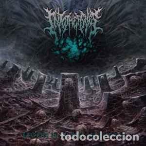 CDs de m&uacute;sica: Into The Ashes - Consumed By The Negative Dimension (CD) - Foto 1