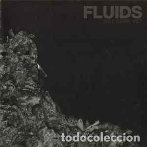 CDs de m&uacute;sica: Fluids - Not Dark Yet (CD, Album) - Foto 1
