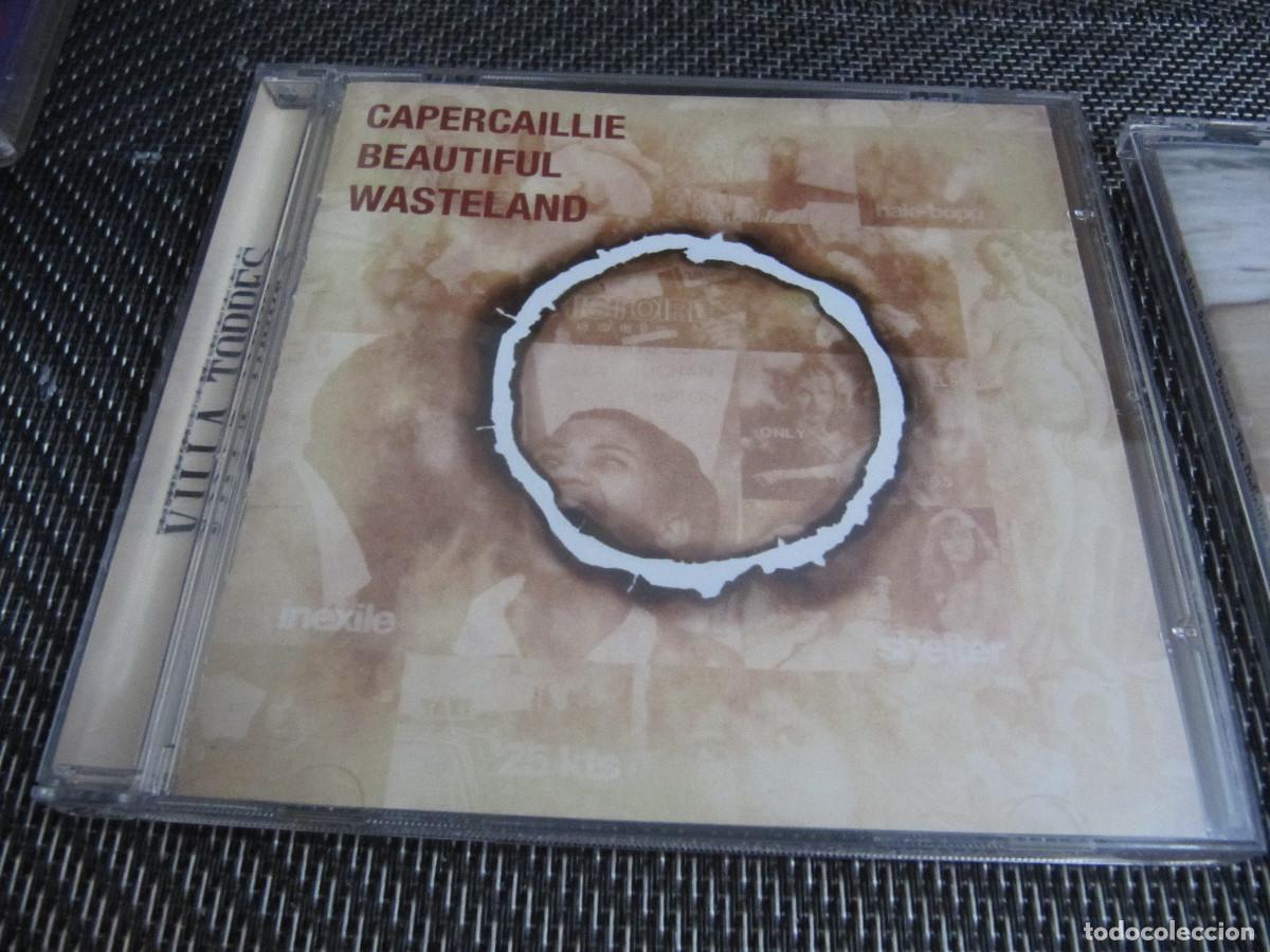 CDs de m&uacute;sica: CAPERCAILLIE - BEAUTIFUL WASTELAND - Foto 1
