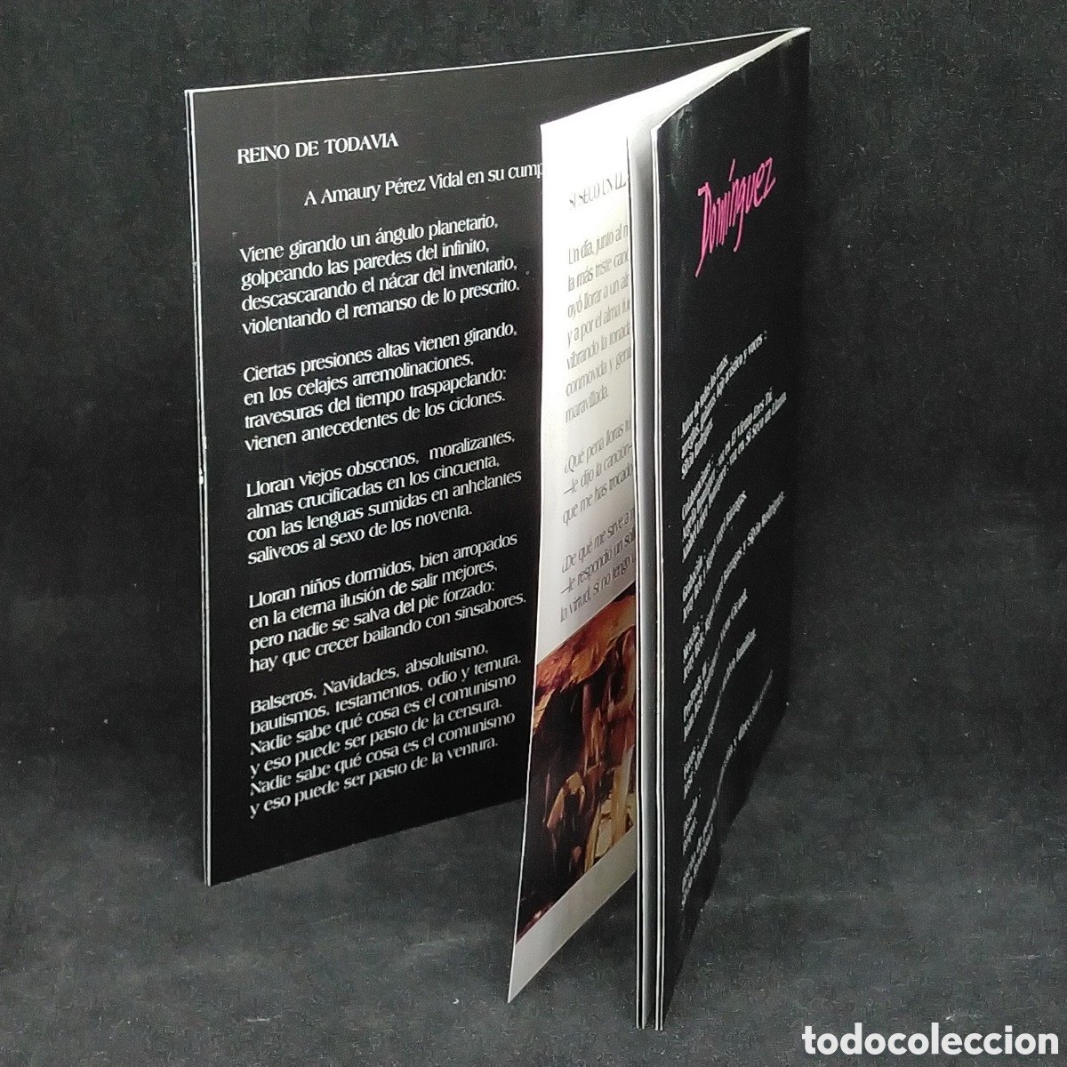 CDs de m&uacute;sica: SILVIO RODRIGUEZ - DOMINGUEZ - CD - 1996 - DISCO VERIFICADO - Foto 5