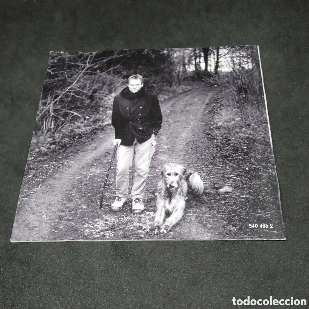 CDs de m&uacute;sica: STING - MERCURY FALLING - CD - 1996 - DISCO VERIFICADO - Foto 4