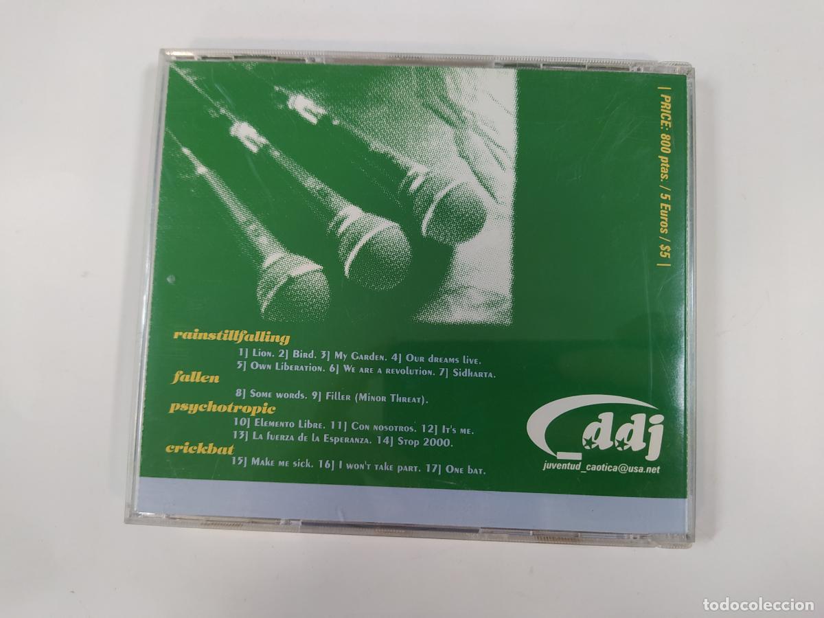 CDs de m&uacute;sica: THE CABLE PLOT - RAINSTILLFALLING - FALLEN - PSYCHOTROPIC - CRICKBAT. CD. TDKCD155 - Foto 2