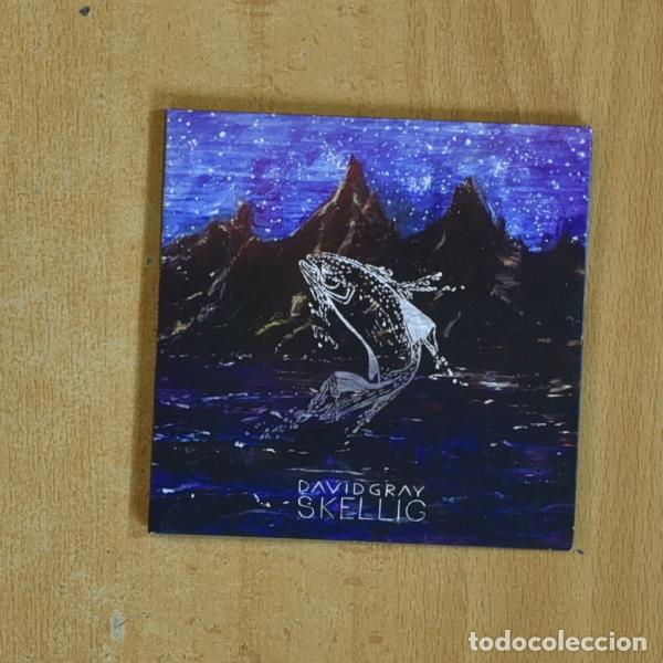 CDs de m&uacute;sica: DAVID GRAY - SKELLIG - CD - Foto 1