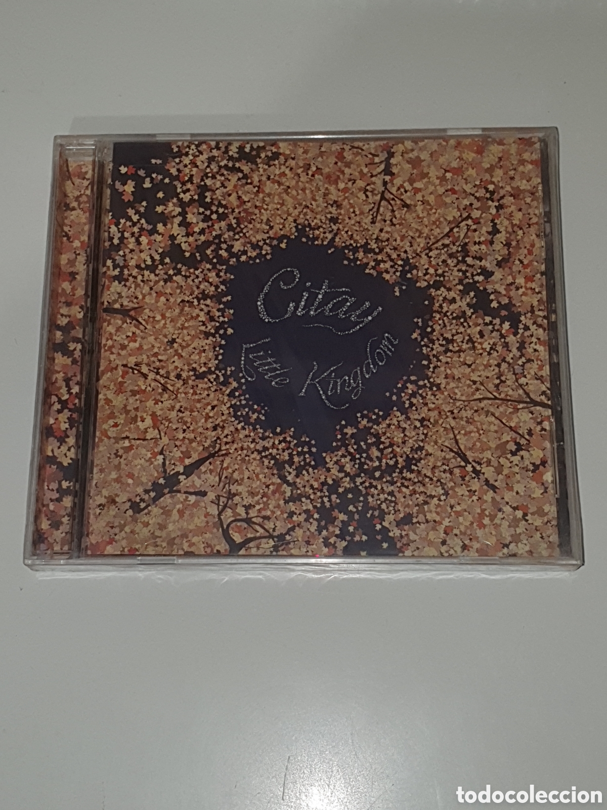 CDs de m&uacute;sica: Cd-9,Citay - Little Kingdom,1 Cd Nuevo, Precintado Original Sin Estrenar Ni Usar.