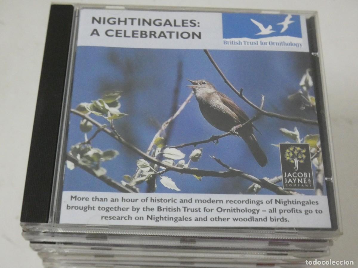 Musik-CDs: ARKANSAS1980 LOTT396 CD ESTADO CORRECT&Iacute;SIMO NIGHINGALES: A CELEBRATION