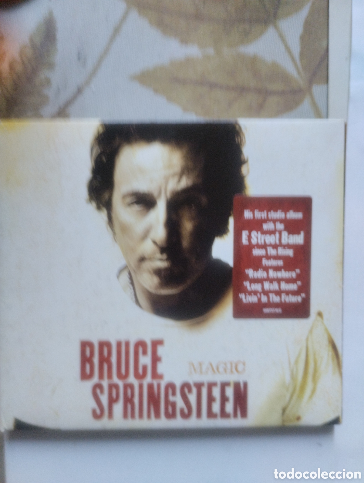 CDs de m&uacute;sica: BRUCE SPRINGSTEEN, MAGIC. CD. - Foto 1