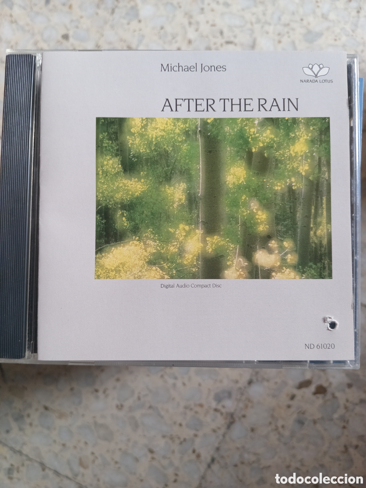 CDs de m&uacute;sica: CD MICHAEL JONES AFTER THE RAIN - Foto 1