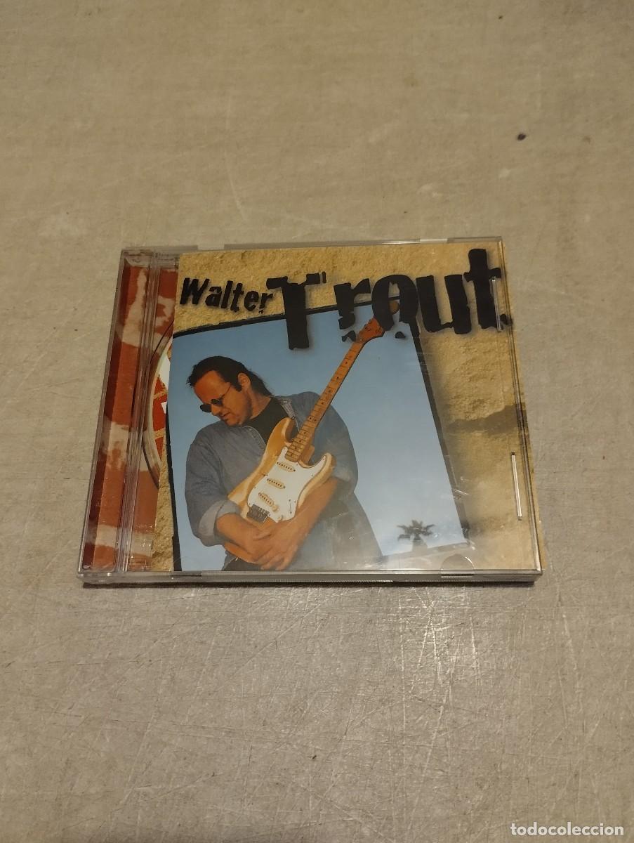 CDs de m&uacute;sica: Walter Trout CD ************* - Foto 1