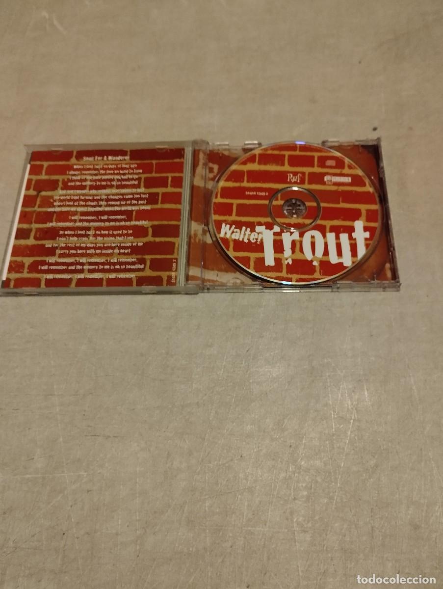 CDs de m&uacute;sica: Walter Trout CD ************* - Foto 2