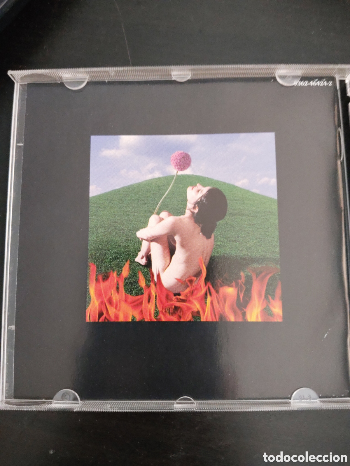 CDs de m&uacute;sica: Paula Cole&nbsp;&ndash;&nbsp;This Fire CD album - Foto 3