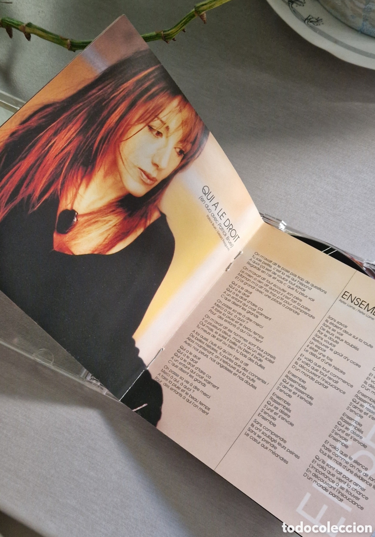 CDs de m&uacute;sica: ANA TORROJA, EN FRANCES, MECANO - Foto 5
