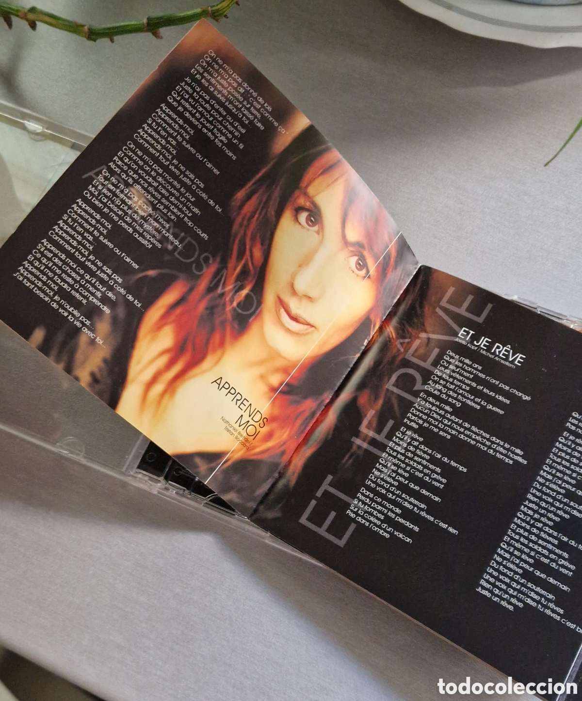 CDs de m&uacute;sica: ANA TORROJA, EN FRANCES, MECANO - Foto 6