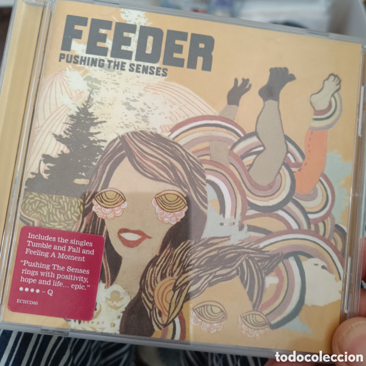 CDs de m&uacute;sica: Feeder &ndash; Pushing The Senses - Foto 1