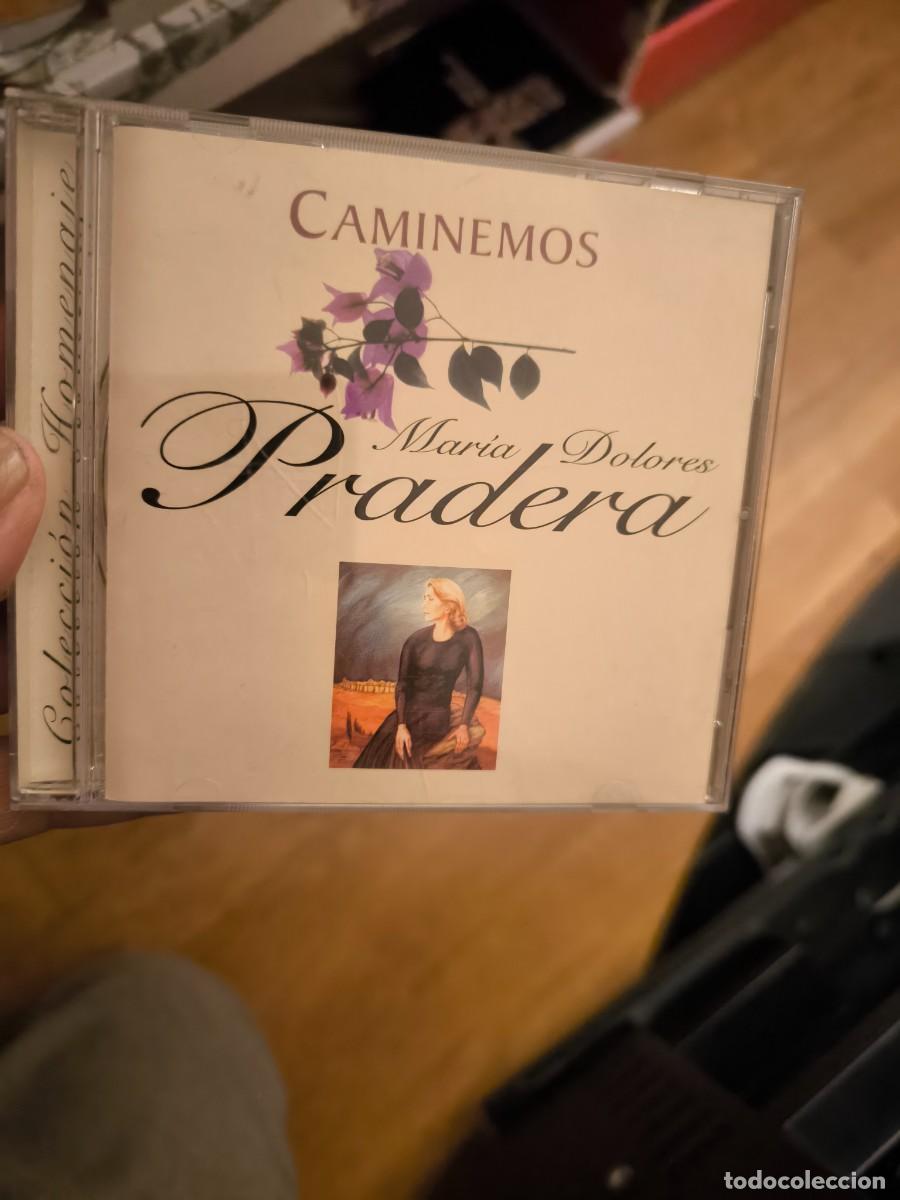 CDs de m&uacute;sica: CD MARIA DOLORES PRADERA CAMINEMOS - Foto 1