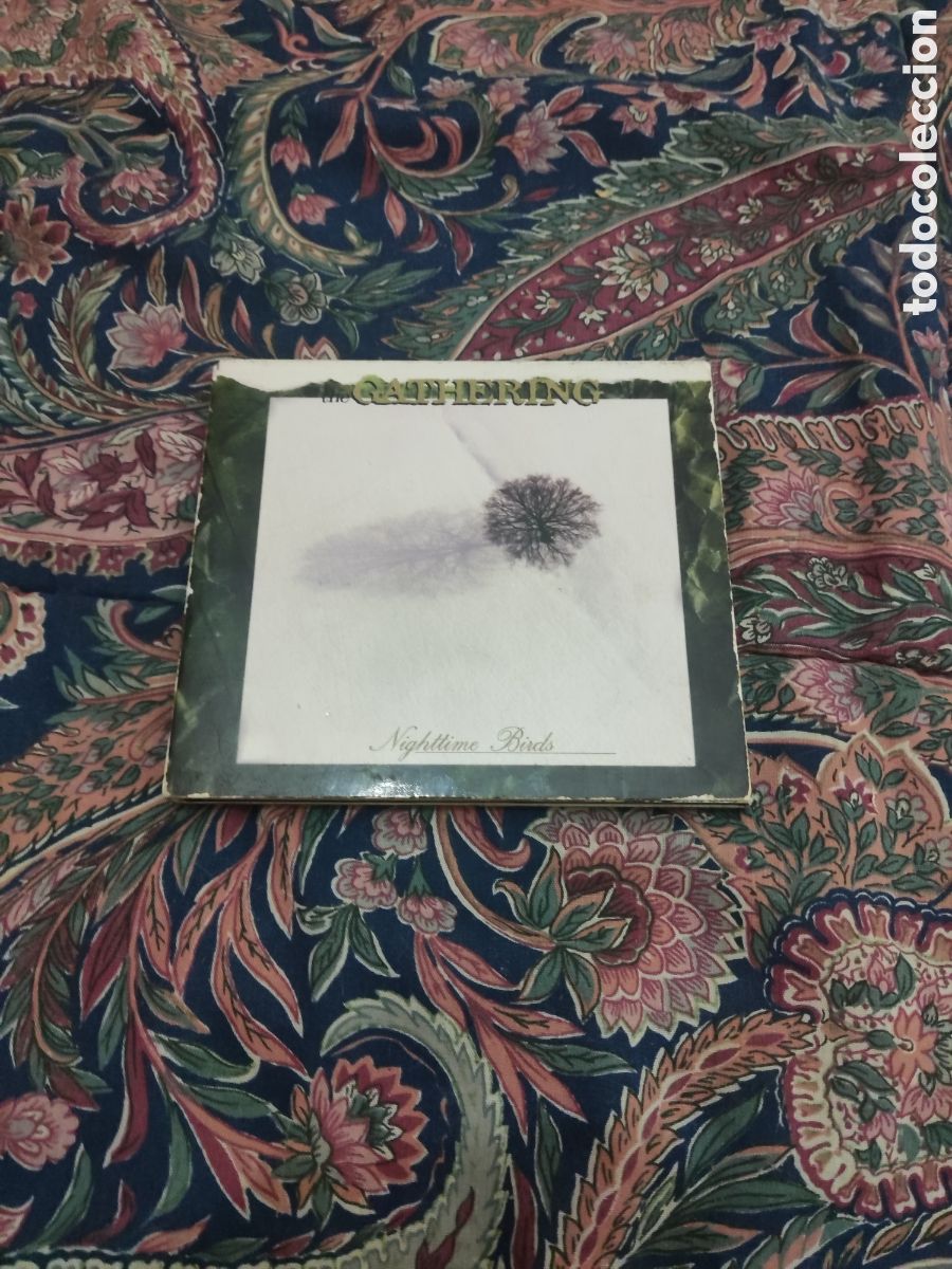 CDs de m&uacute;sica: THE GATHERING NIGHTTIME BIRDS CD - Foto 1