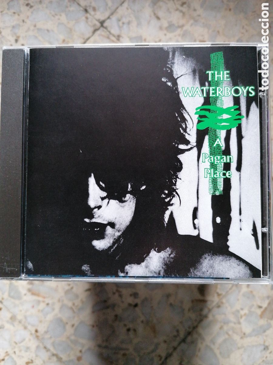 CDs de m&uacute;sica: CD THE WATERBOYS A PAGAN PLACE - Foto 1
