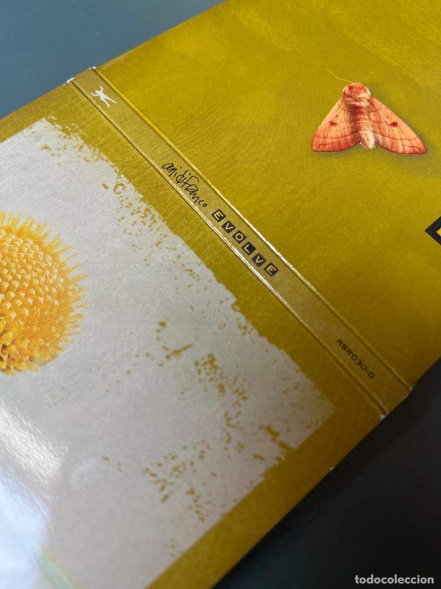 CDs de m&uacute;sica: Pack Cd&acute;s ANI DIFRANCO: KNUCKLE DOWN + EVOLVE - Foto 12