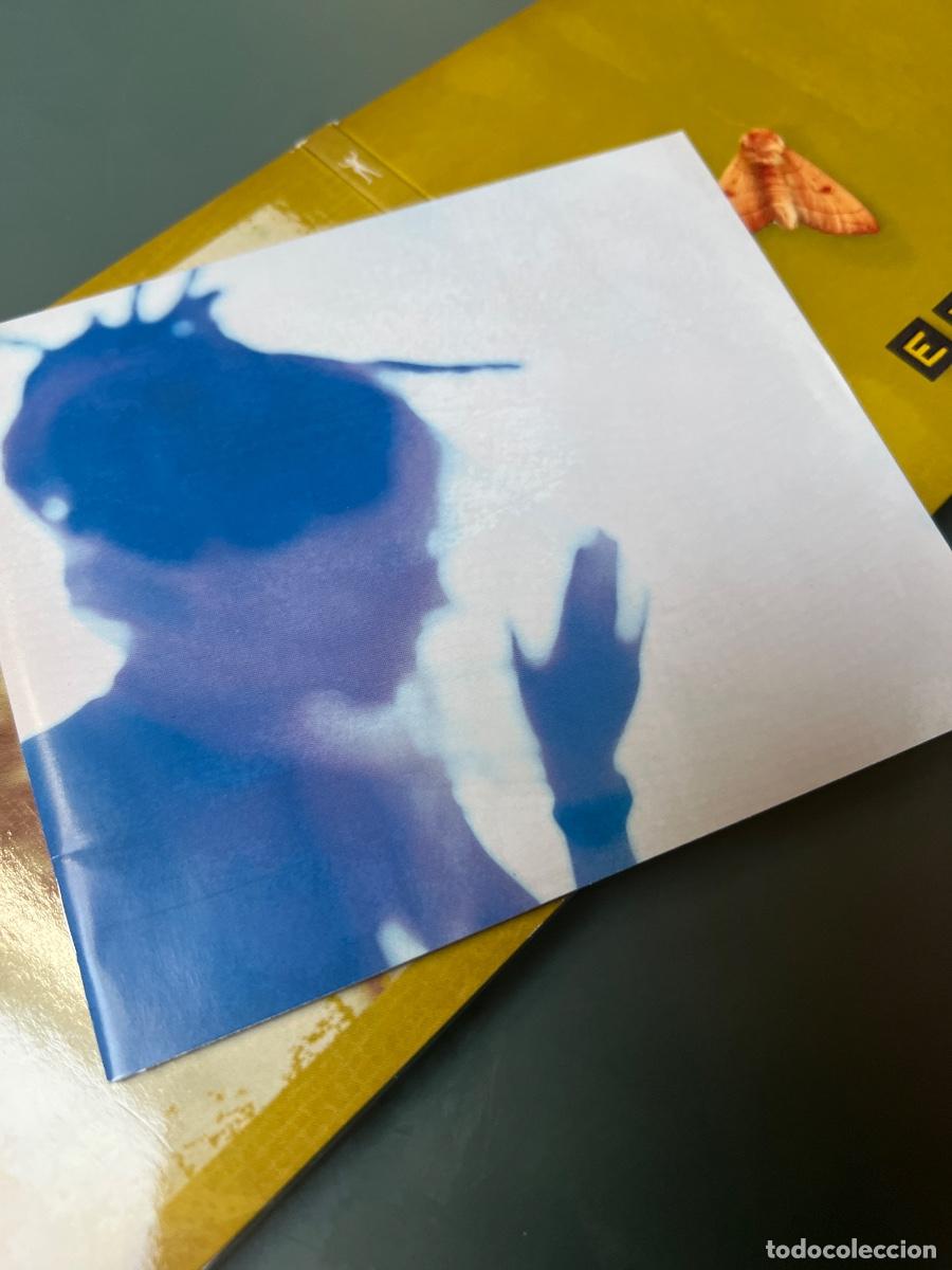 CDs de m&uacute;sica: Pack Cd&acute;s ANI DIFRANCO: KNUCKLE DOWN + EVOLVE - Foto 13