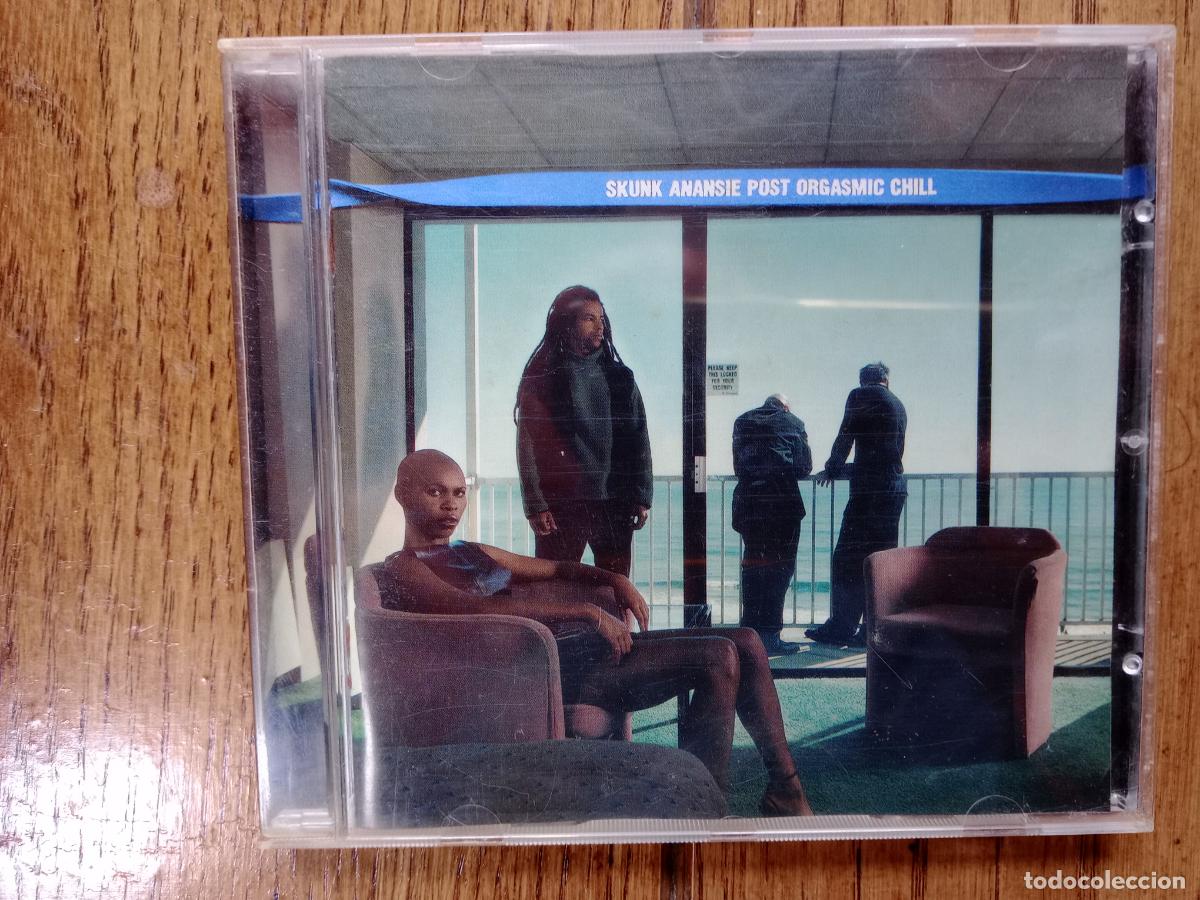 CDs de m&uacute;sica: Skunk Anansie - post orgasmic chill - Foto 1