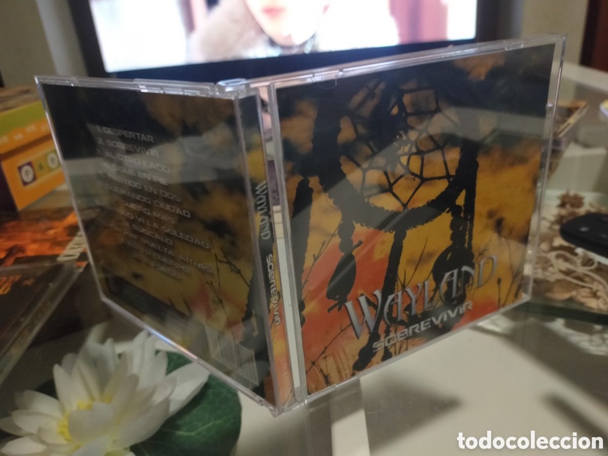 CDs de m&uacute;sica: Wayland CD sobrevivir 2013 - Foto 1