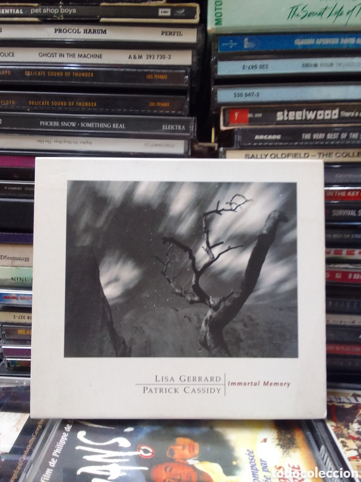 CDs de m&uacute;sica: Inmortal memory lisa Gerrard Patrick cassidy - Foto 1