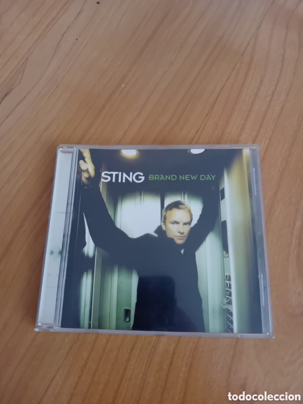 CDs de Musique: STING. BRAND NEW DAY