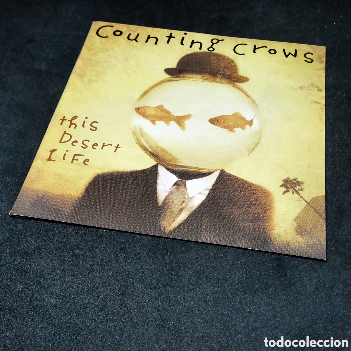 CDs de m&uacute;sica: COUNTING CROWS - THIS DESERT LIFE - CD - 1999 - DISCO VERIFICADO - Foto 3