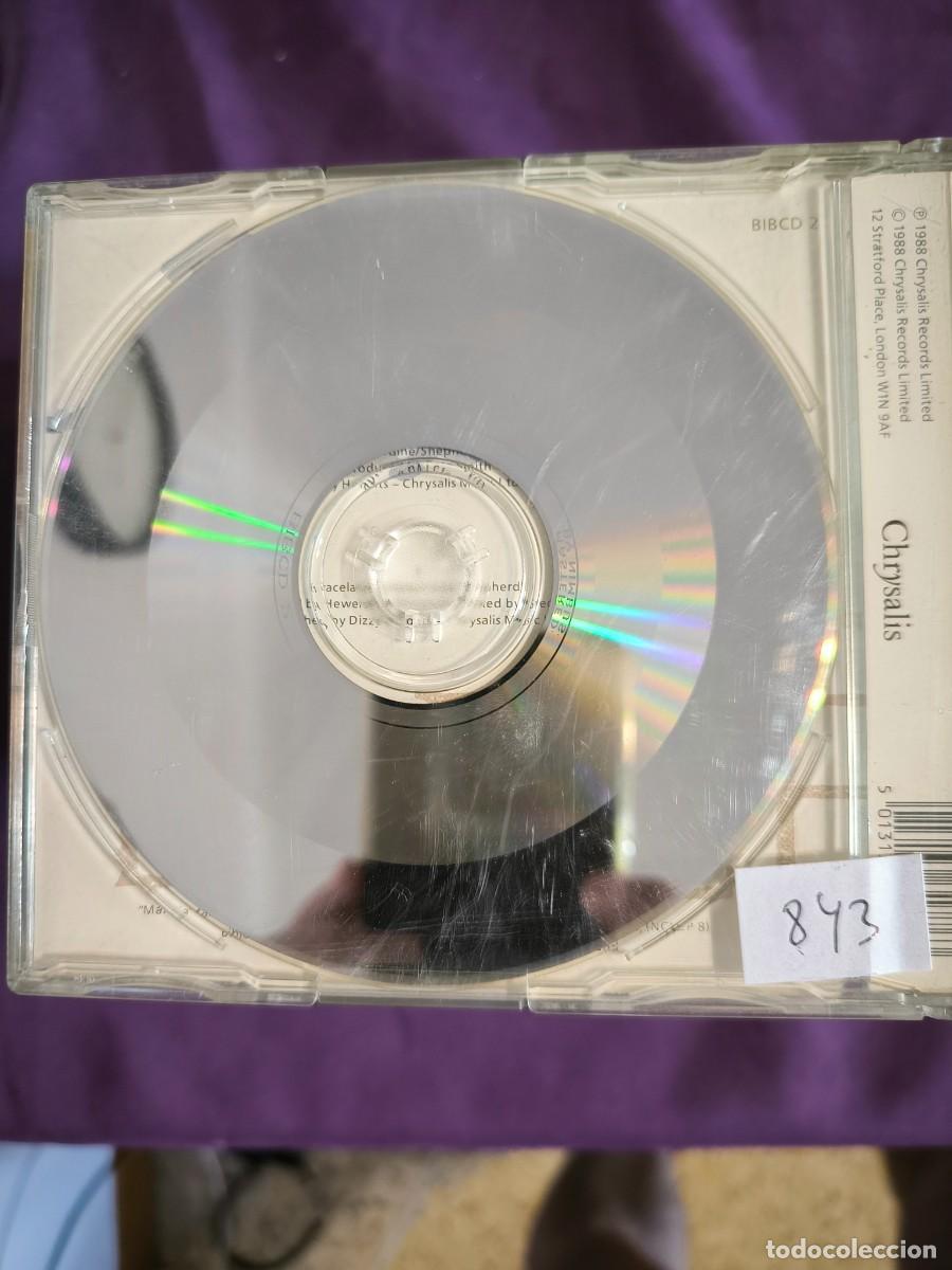 CDs de m&uacute;sica: THE BIBLE CRYSTAL PALACE - Foto 2