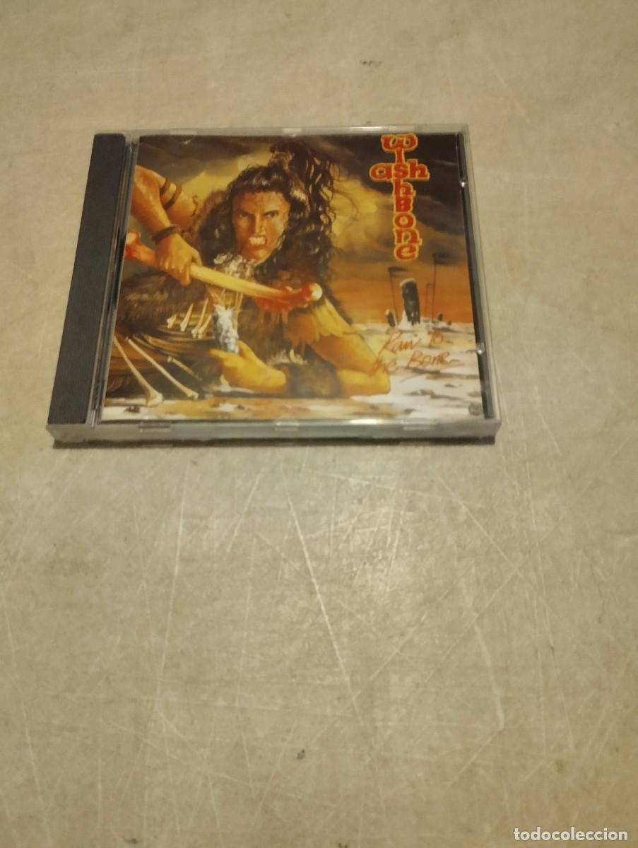 CDs de m&uacute;sica: WISHBONE ASH CD RAW TO THE BONE - Foto 1