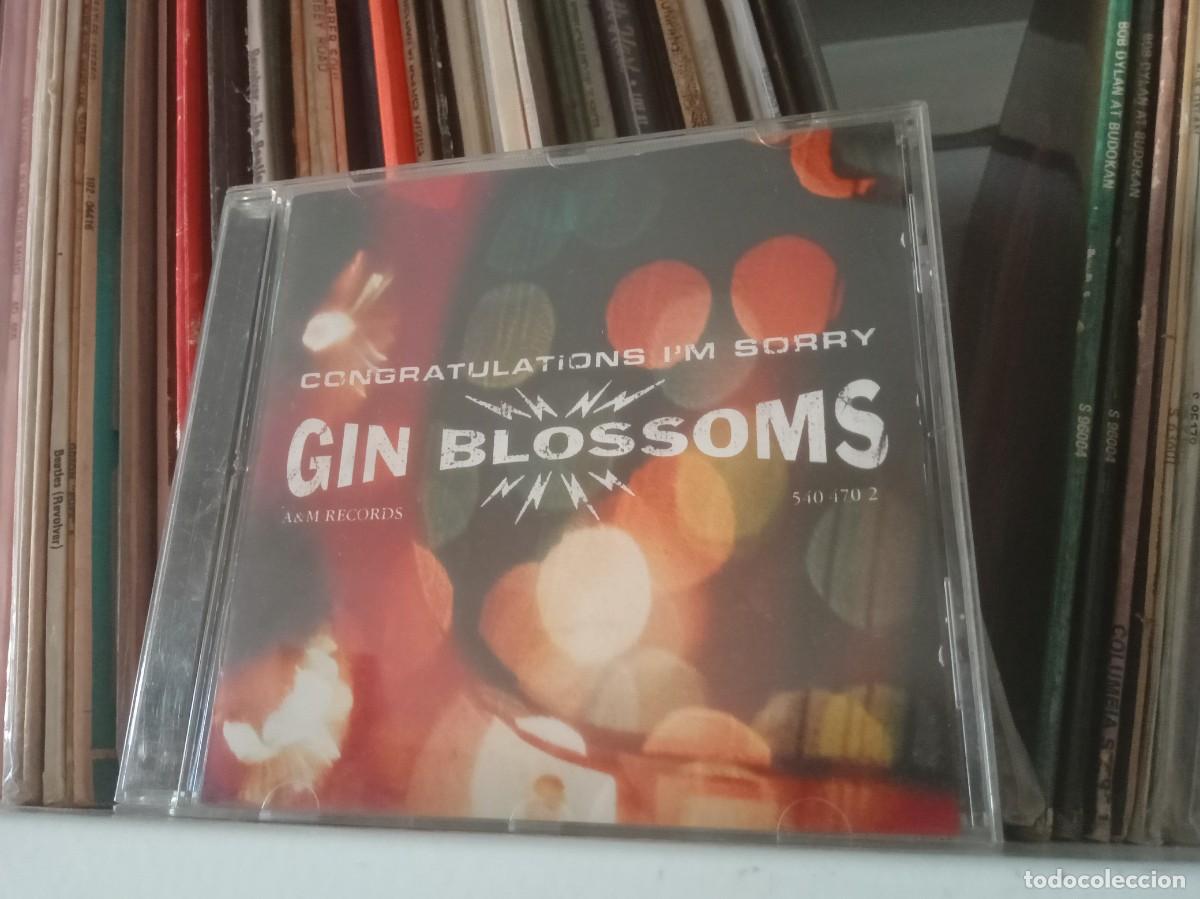 CDs de m&uacute;sica: Gin Blossoms &lrm;&ndash; Congratulations Im Sorry - cd - Foto 1