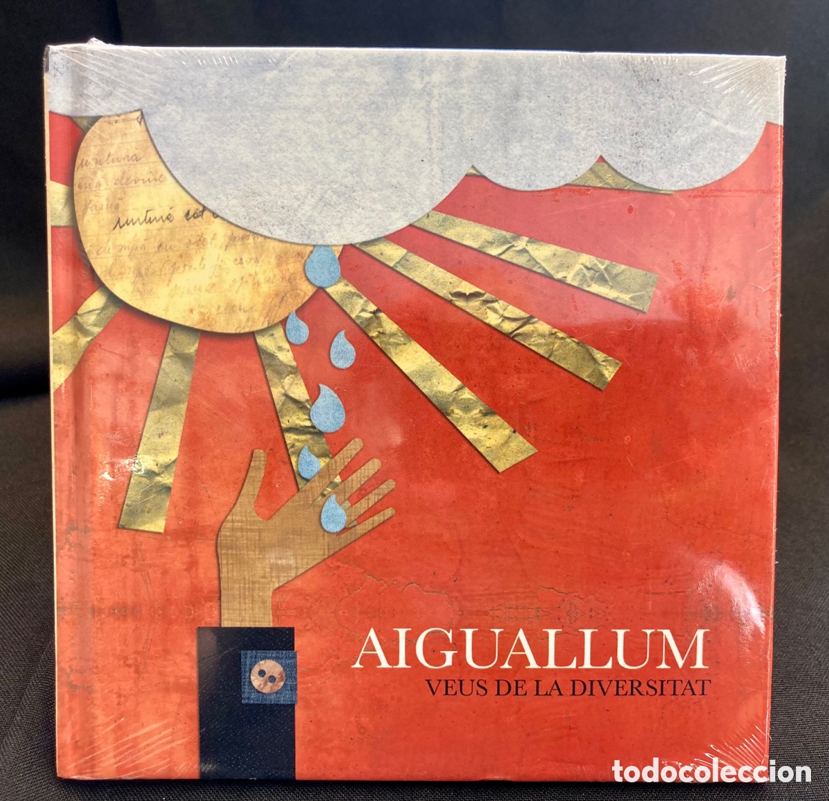 CDs de m&uacute;sica: CD AIGUALLUM -Veus de la diversitat - Kay Studios (2009) - Foto 1