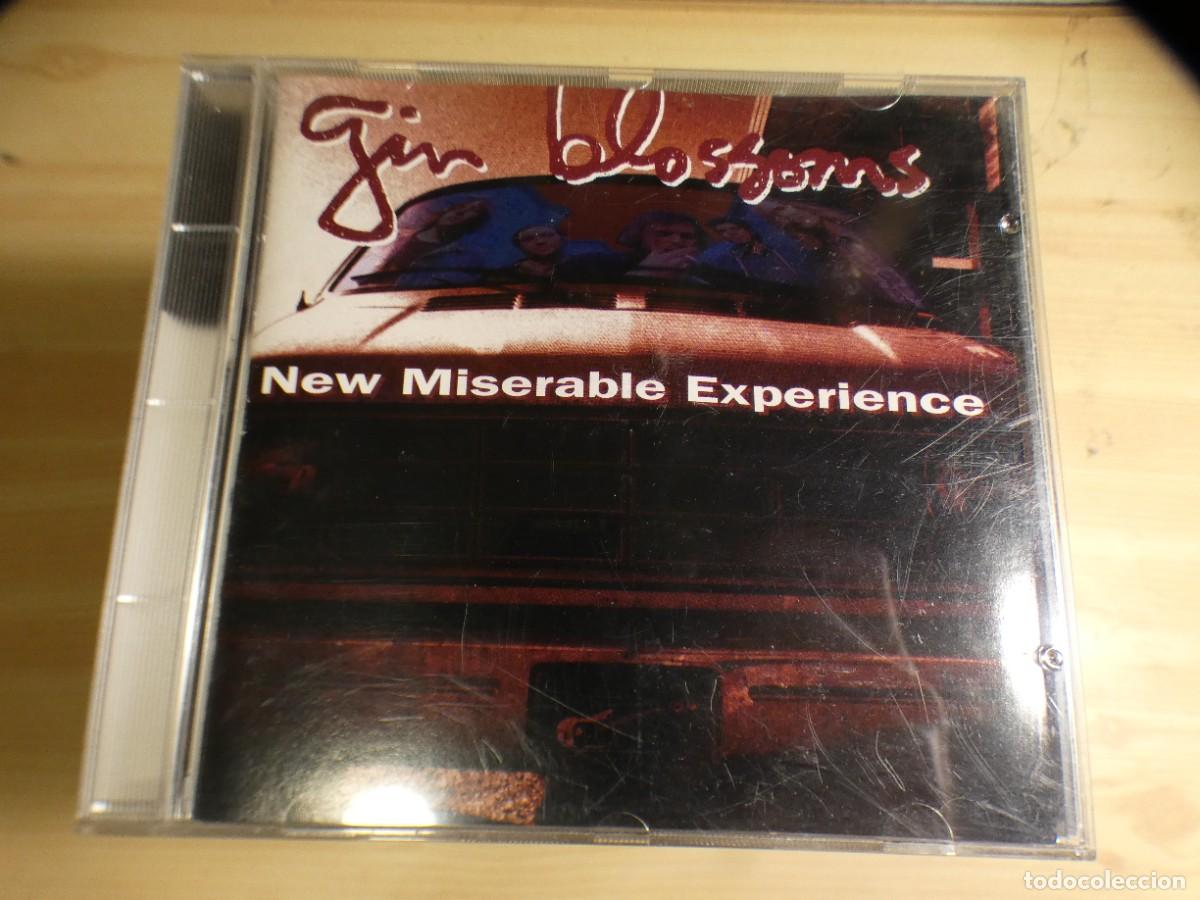 Music CDs: ARKANSAS1980 PACC566 CD MUY BUEN ESTADO GIN BLOSSOMS