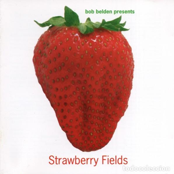 CDs de m&uacute;sica: Strawberry Fields - Various - Beatles Versions - Foto 1
