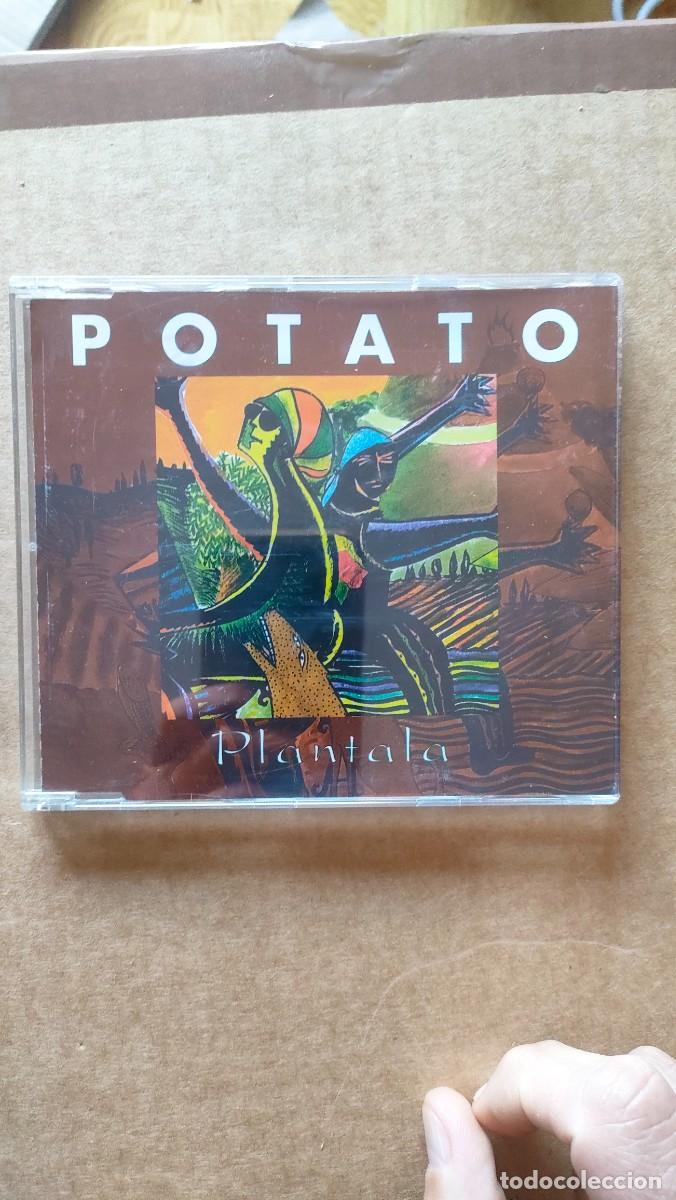 CDs de m&uacute;sica: Potato. Plantala. Cd. 4 temas - Foto 1